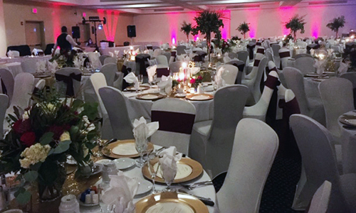 Customized Wedding Reception - Springfield, IL